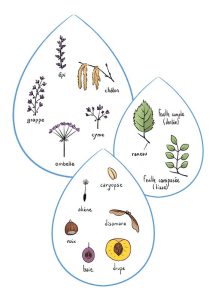 Illustration numérique Fanny audigé