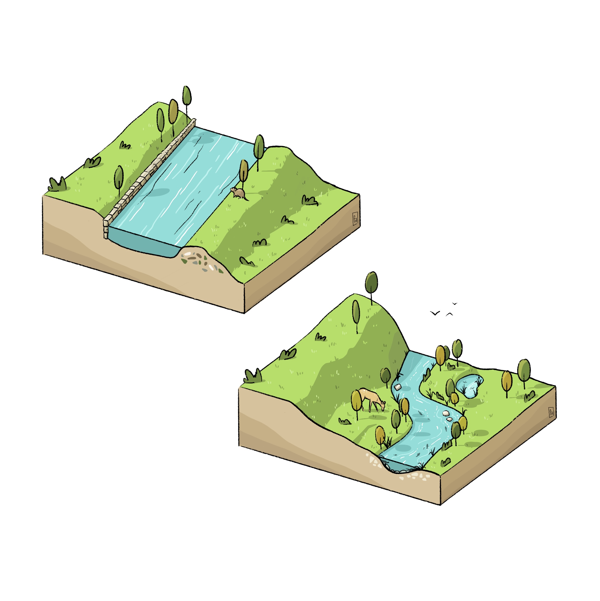 Illustration numérique Fanny audigé